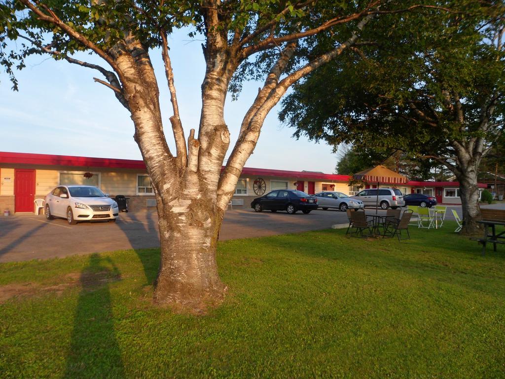 The Silver Birch Motel Goderich Exterior foto